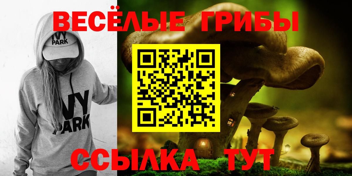 Галлюциногенные грибы прущие грибы  где купить наркоту  Нижний Тагил  Вход с VPN 