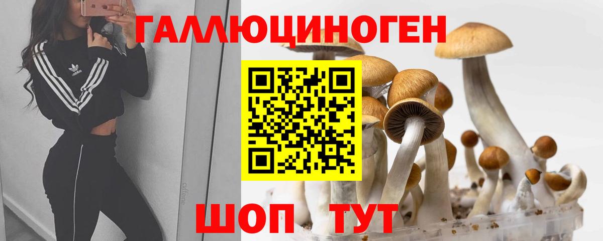 Псилоцибиновые грибы мухоморы Нижний Тагил